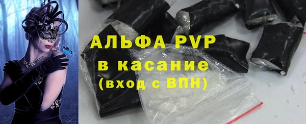 гашик Майский