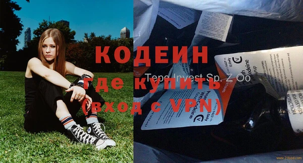 сатива Ельня
