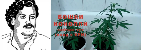 сатива Ельня
