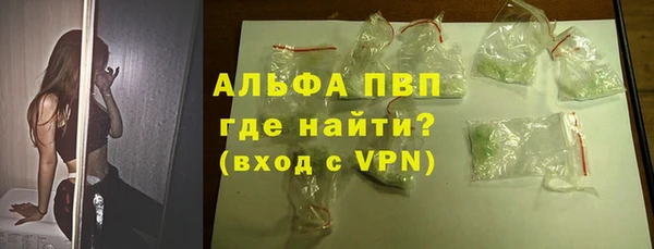 сатива Ельня