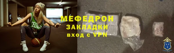 сатива Ельня