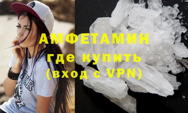 сатива Ельня