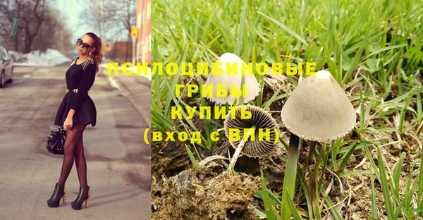 дмт Магадан