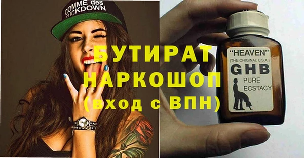 сатива Ельня