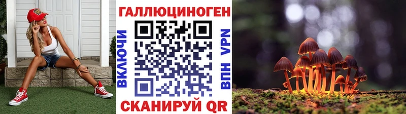 Галлюциногенные грибы MAGIC MUSHROOMS Светогорск